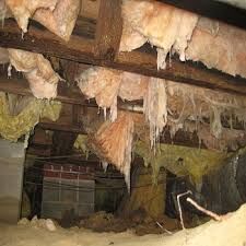 crawl space insulation