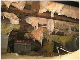 crawl space insulation