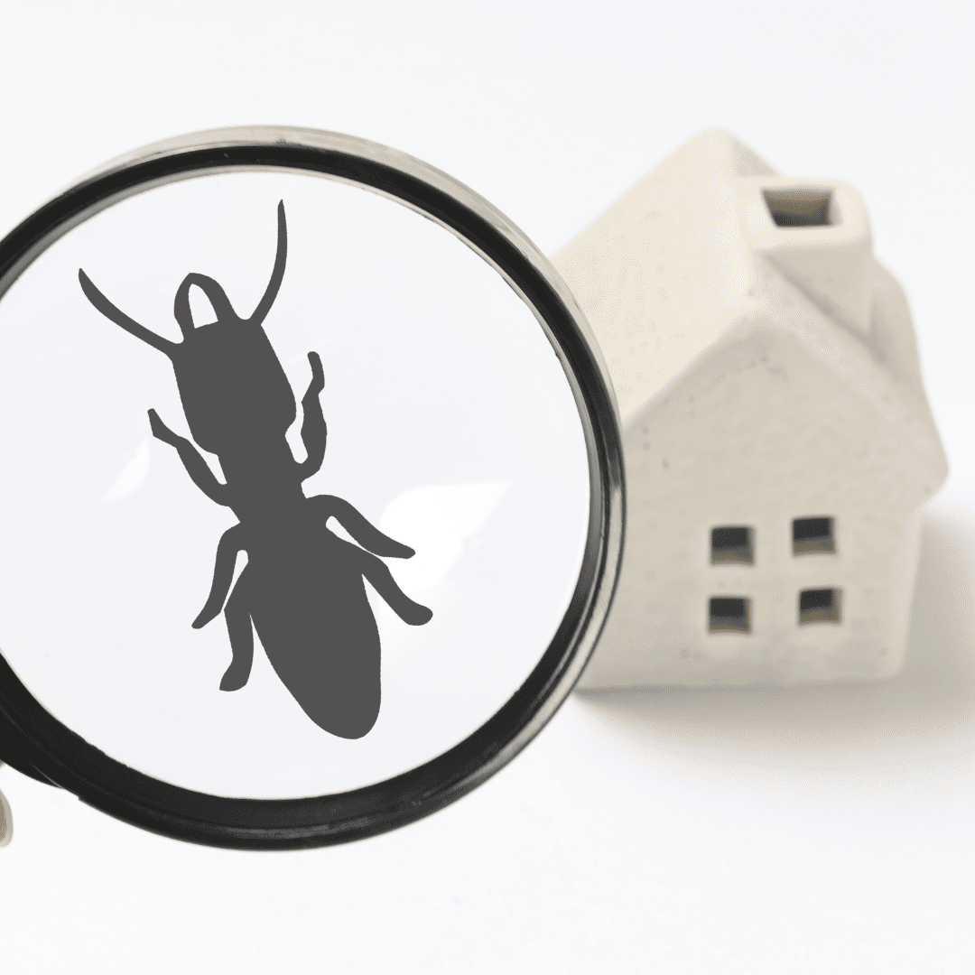 pest guard insulation