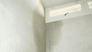 water leaks leading to moisture mold in basement