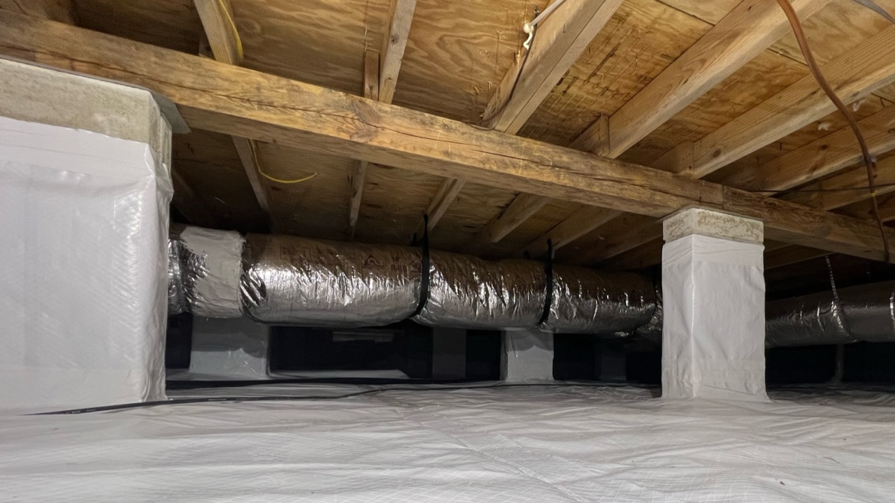 7 Signs Your Home Needs Pest Guard Insulation