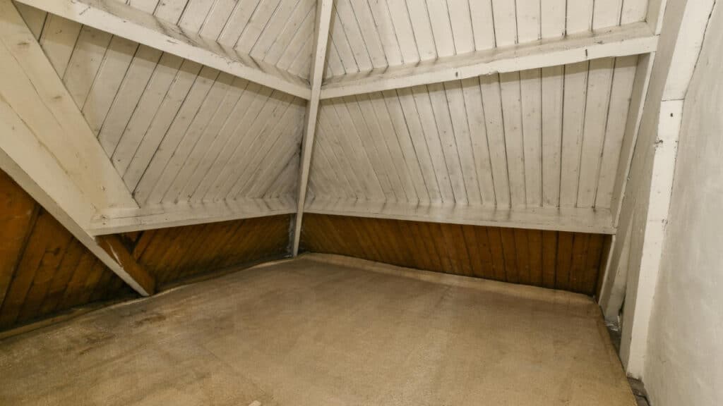 Unpleasant Odors in Your Attic or Crawl Space